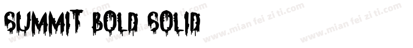 Summit Bold Solid字体转换